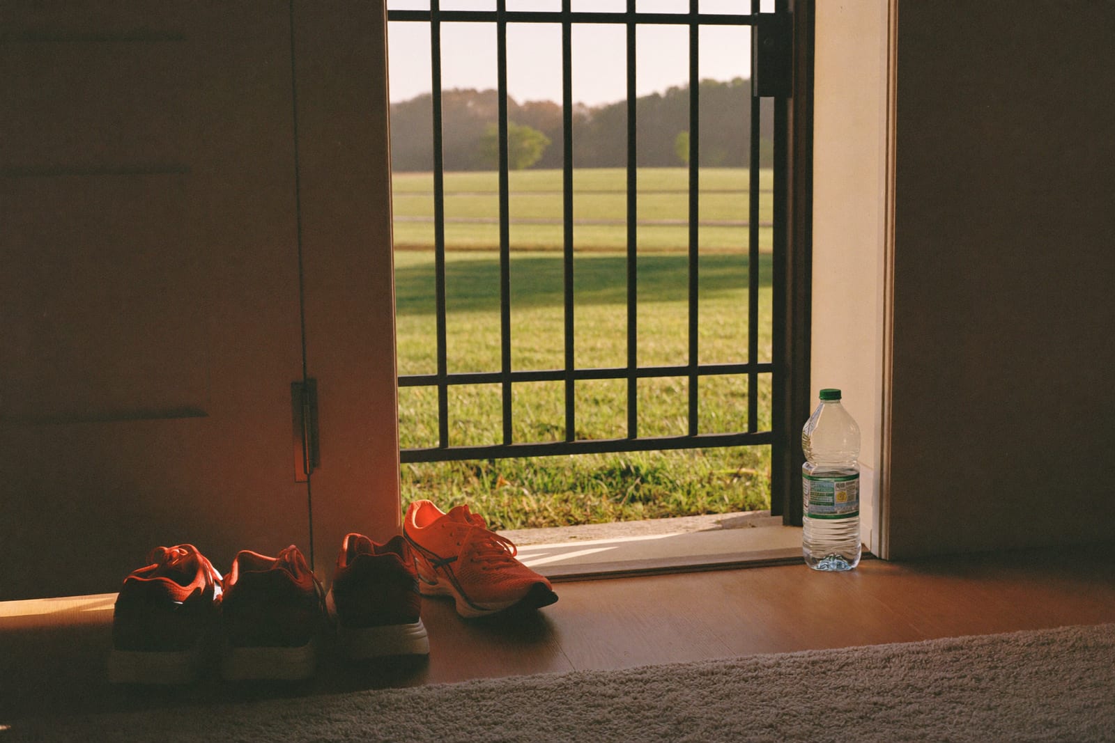 Exercise: The First Twenty Minutes Are Worth More Than the Next Two Hours