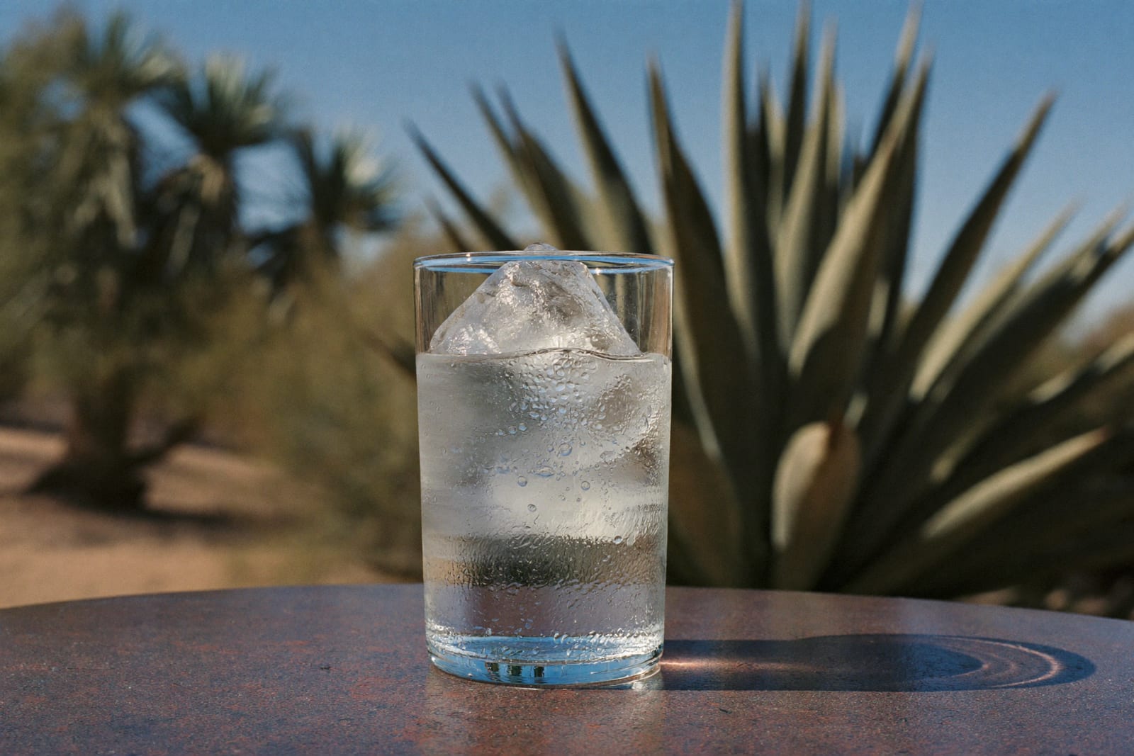 Heat Safety in Arizona: Knowing the Line Between Hot and Dangerous
