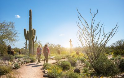 Preparing for Summer Activities: Tips on Staying Safe and Healthy